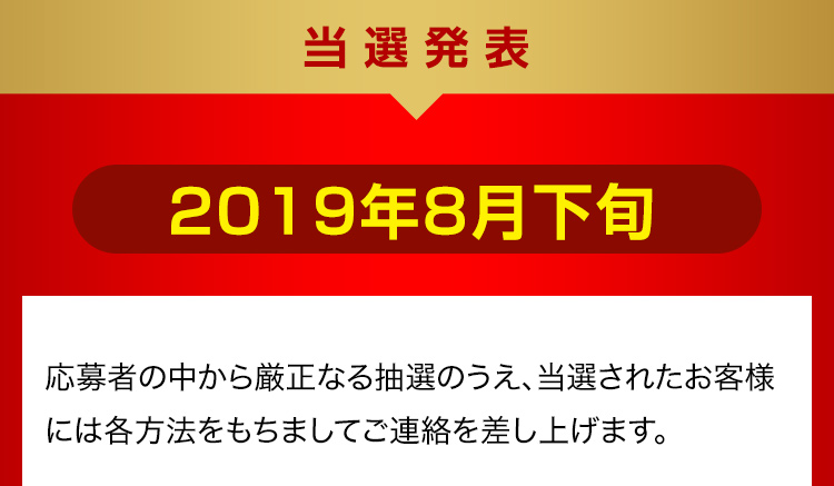 当選発表 2019年8月下旬