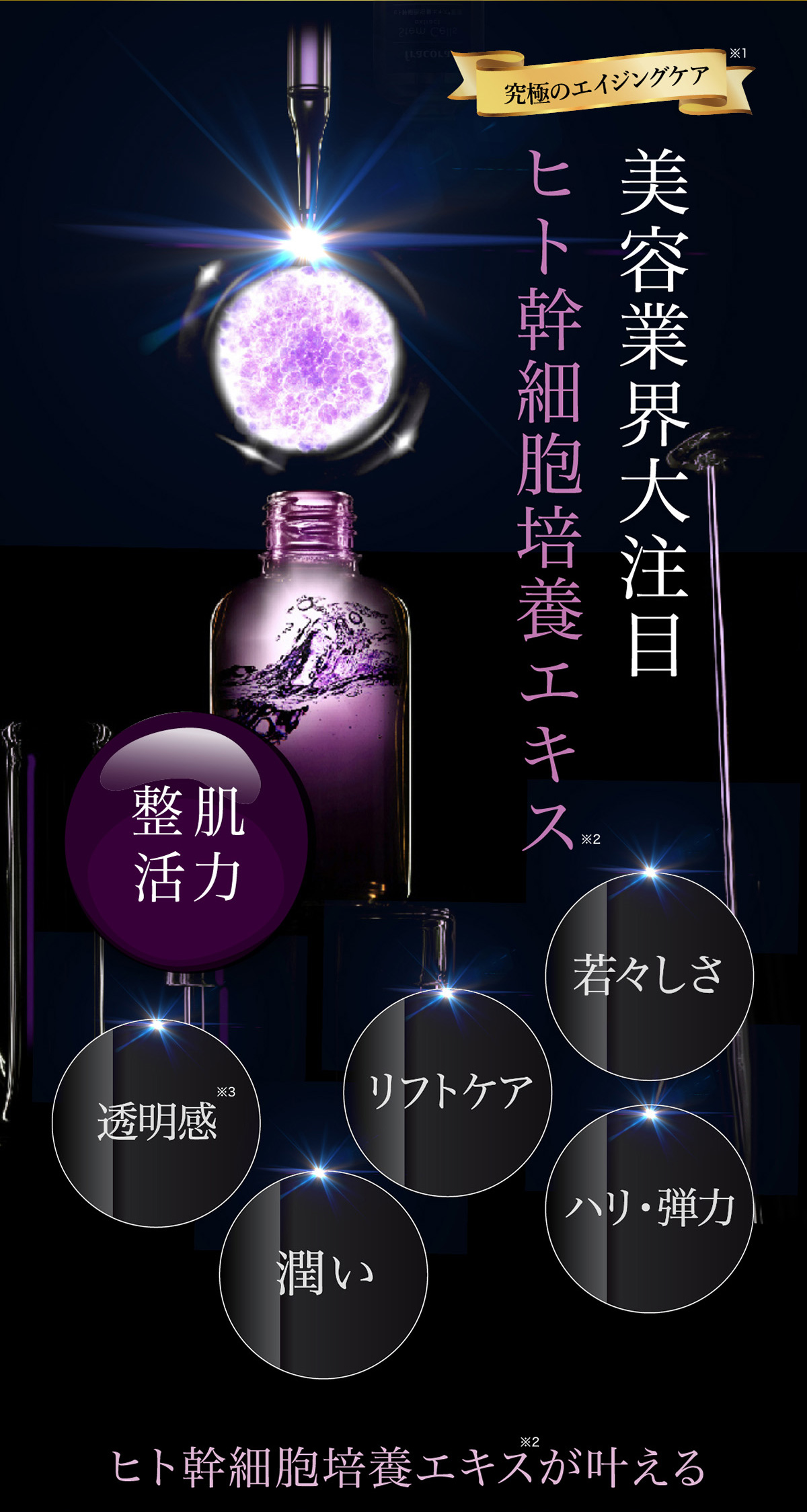 SNSでも大絶賛。