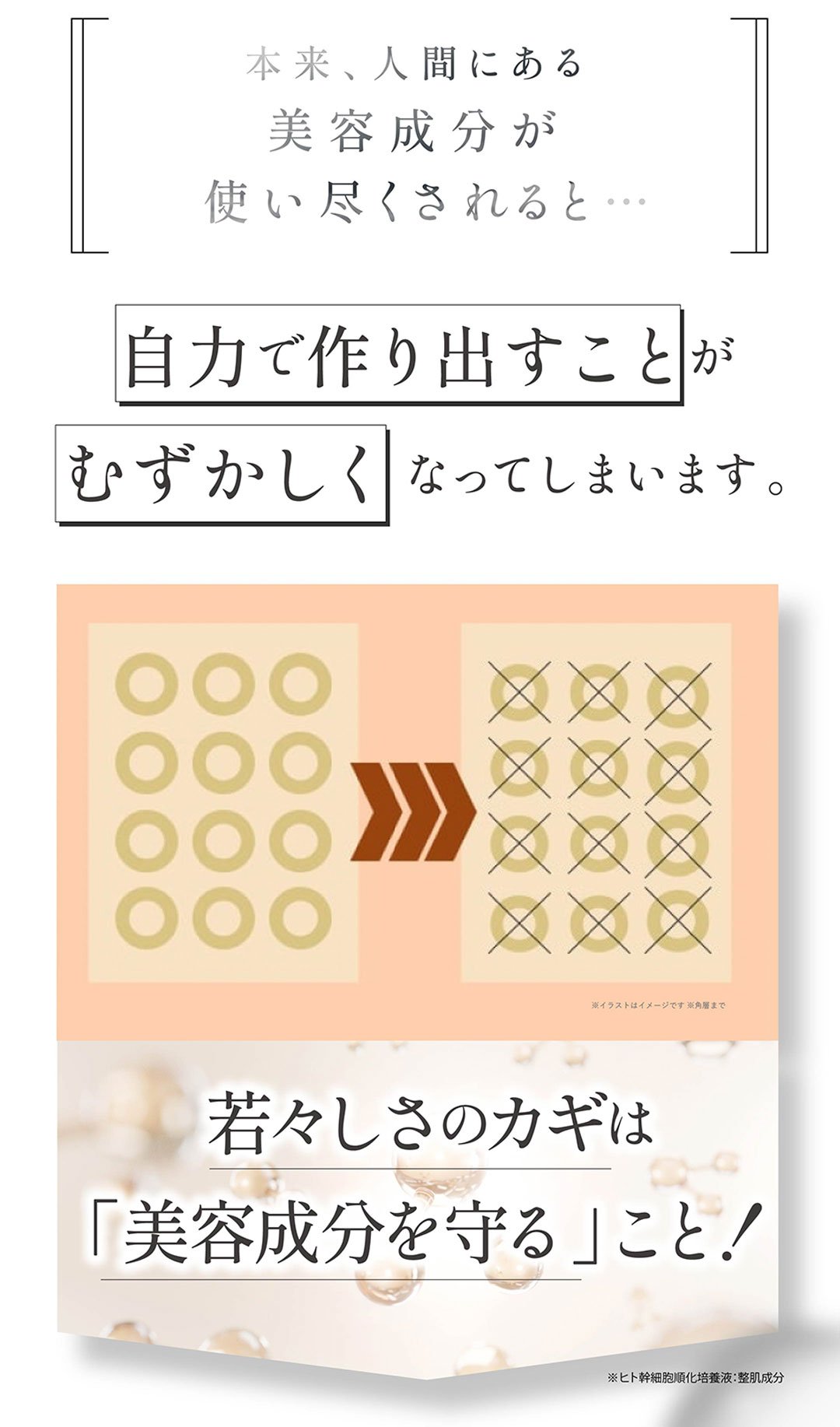 増える悩みにアプローチ