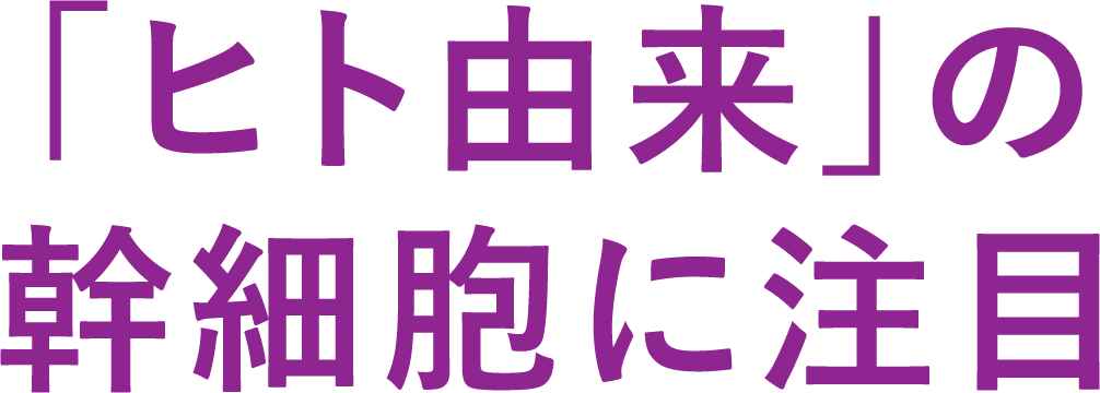 「ヒト由来」の幹細胞に注目