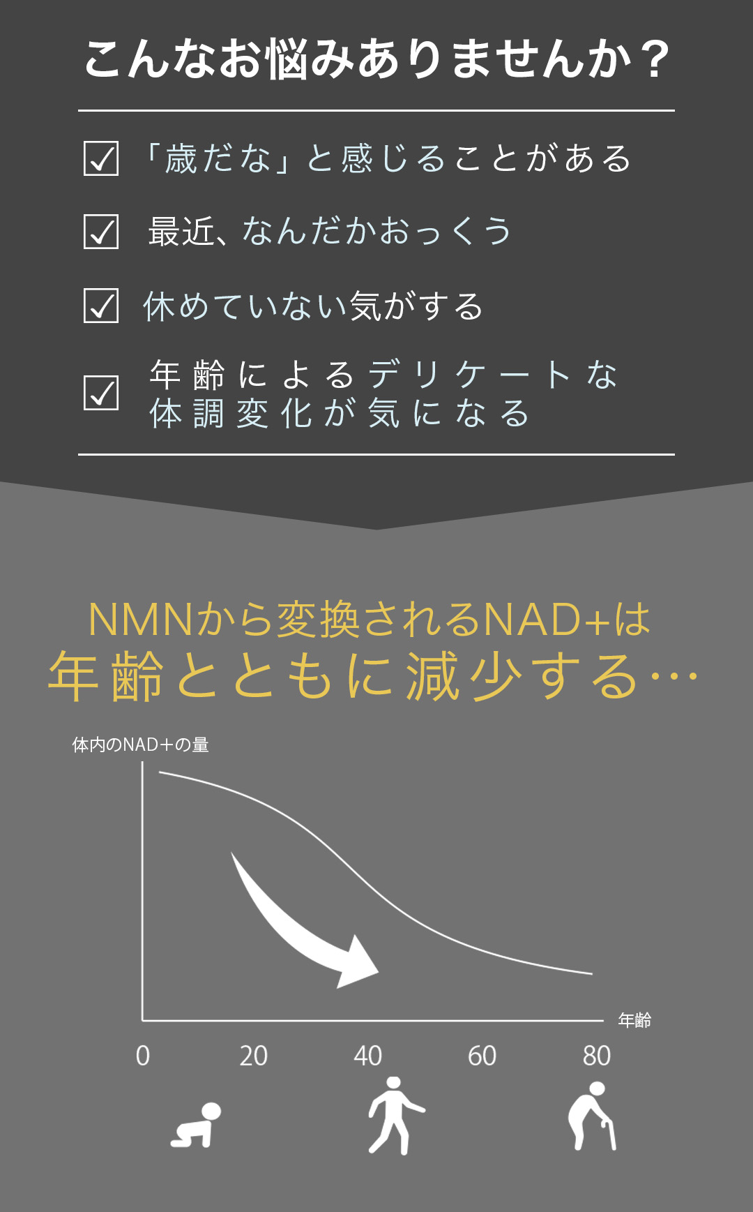 有名雑誌で多数取り上げられています!