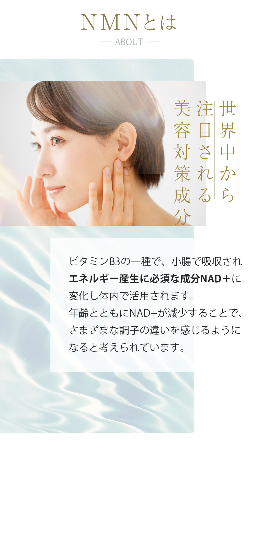 価格は半額 NMNの配合量は2倍