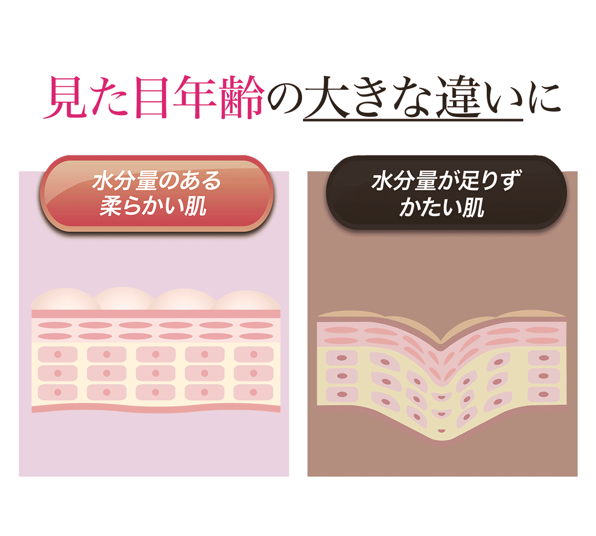 肌の水分量で見た目年齢の大きな違いに