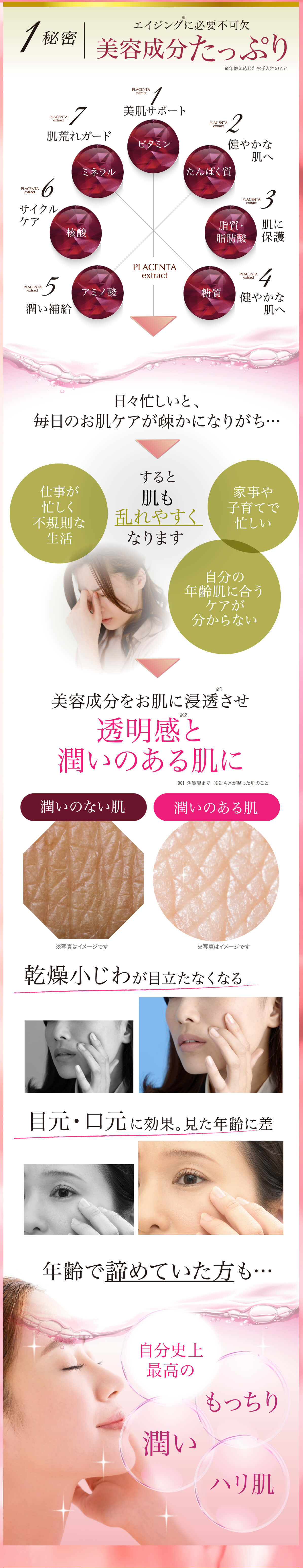 エイジングに必要不可欠　美容成分　たっぷり