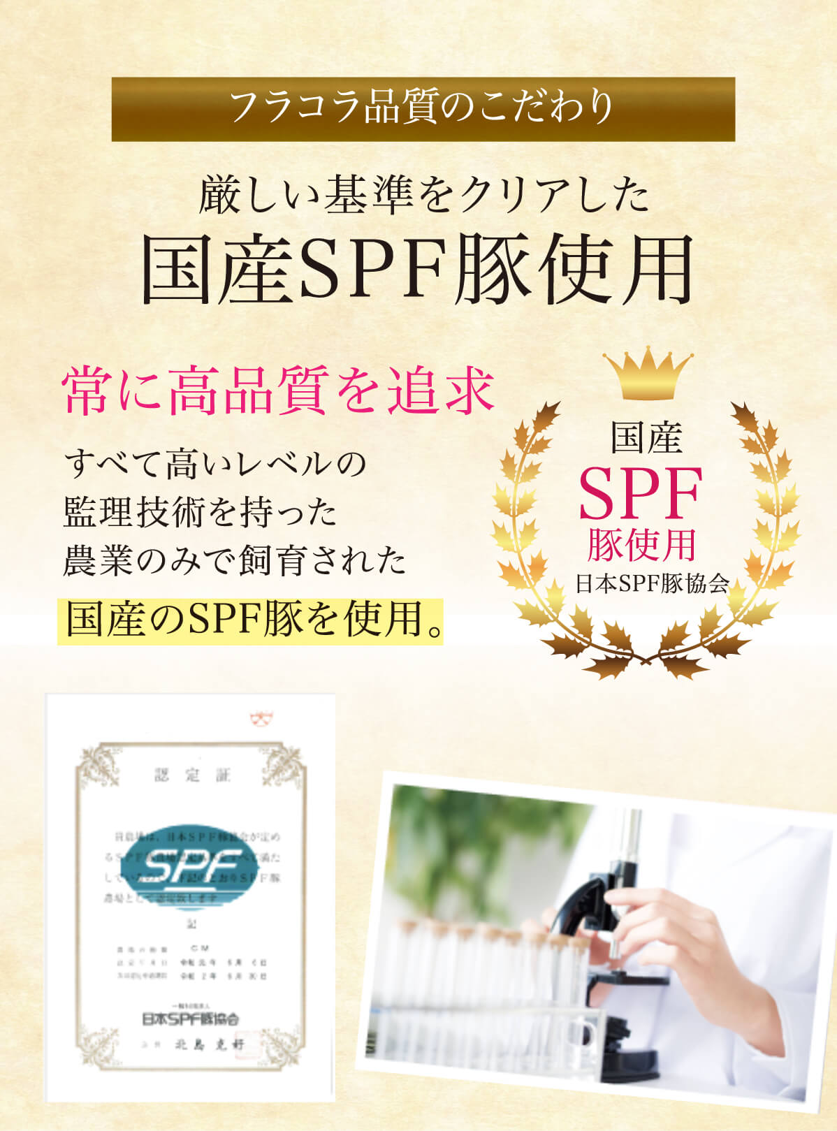 厳しい基準をクリアした 国産SPF豚使用