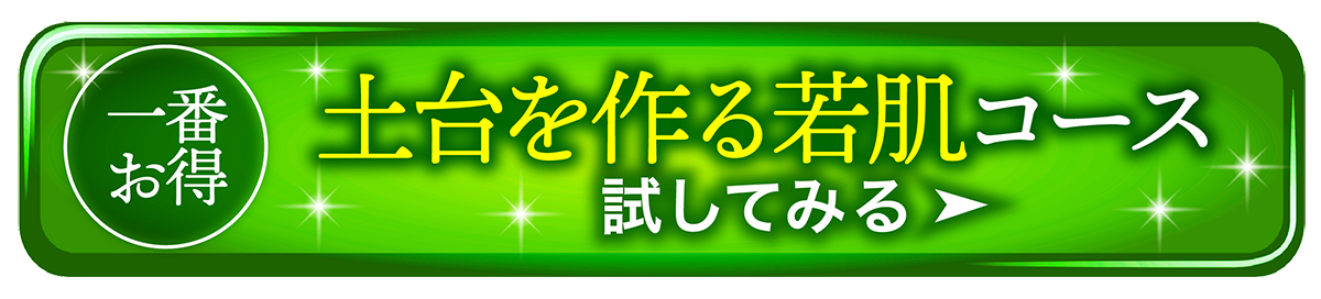 土台から作る美肌コースへ申し込む