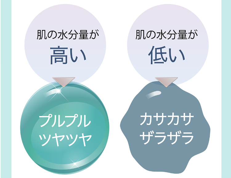 肌の水分量が高い プルプルツヤツヤ 肌の水分量が低い カサカサザラザラ