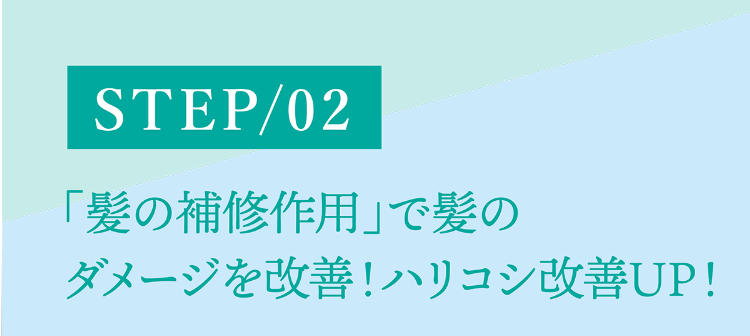 STEP/02「髪の補修作用」で髪のダメージを改善！ハリコシ改善UP！