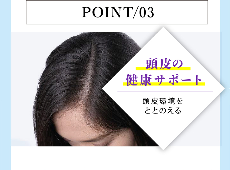 POINT/03 頭皮の健康サポート 頭皮環境をととのえる
