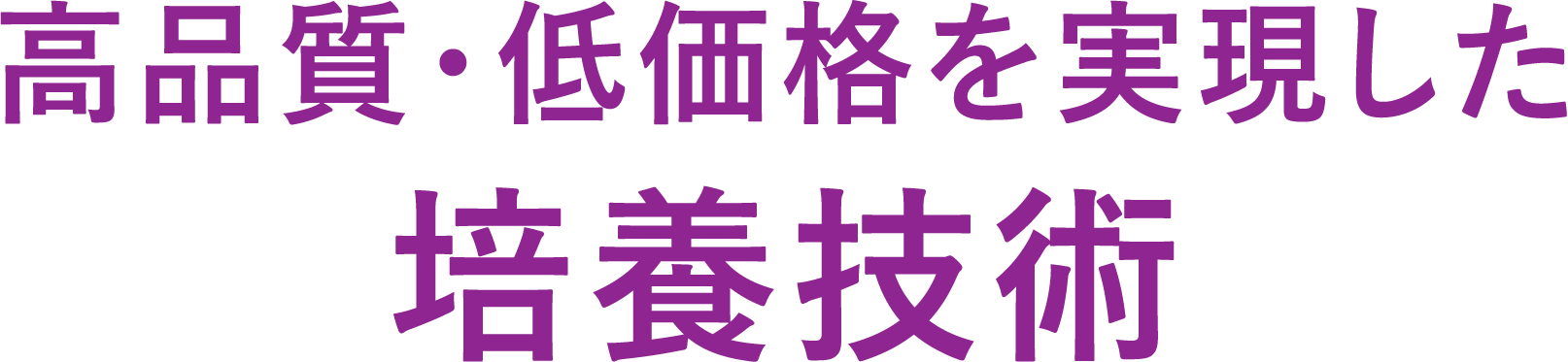 高品質・低価格を実現した培養技術