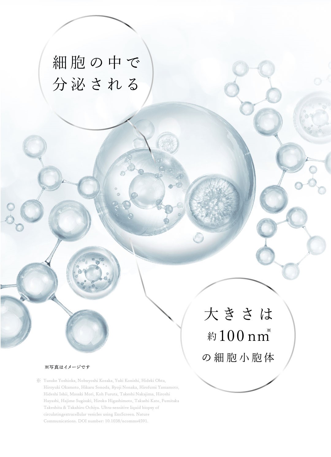 その働きはエクソソームに