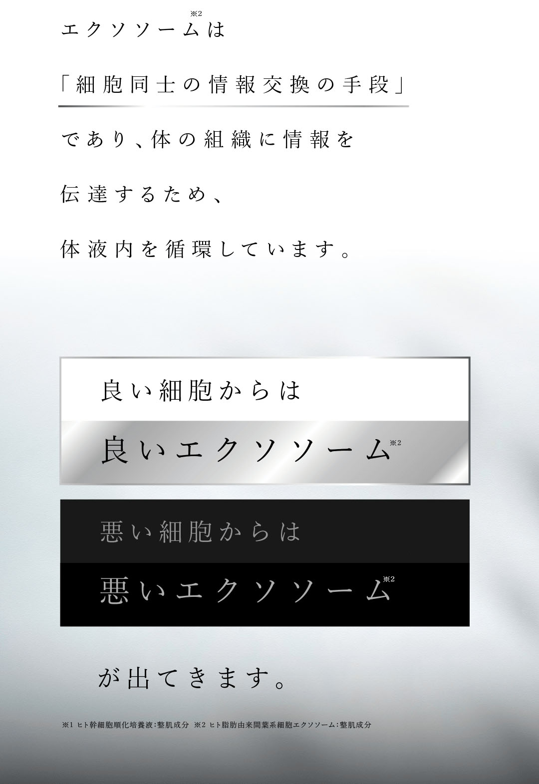 細胞同士の情報交換の手段