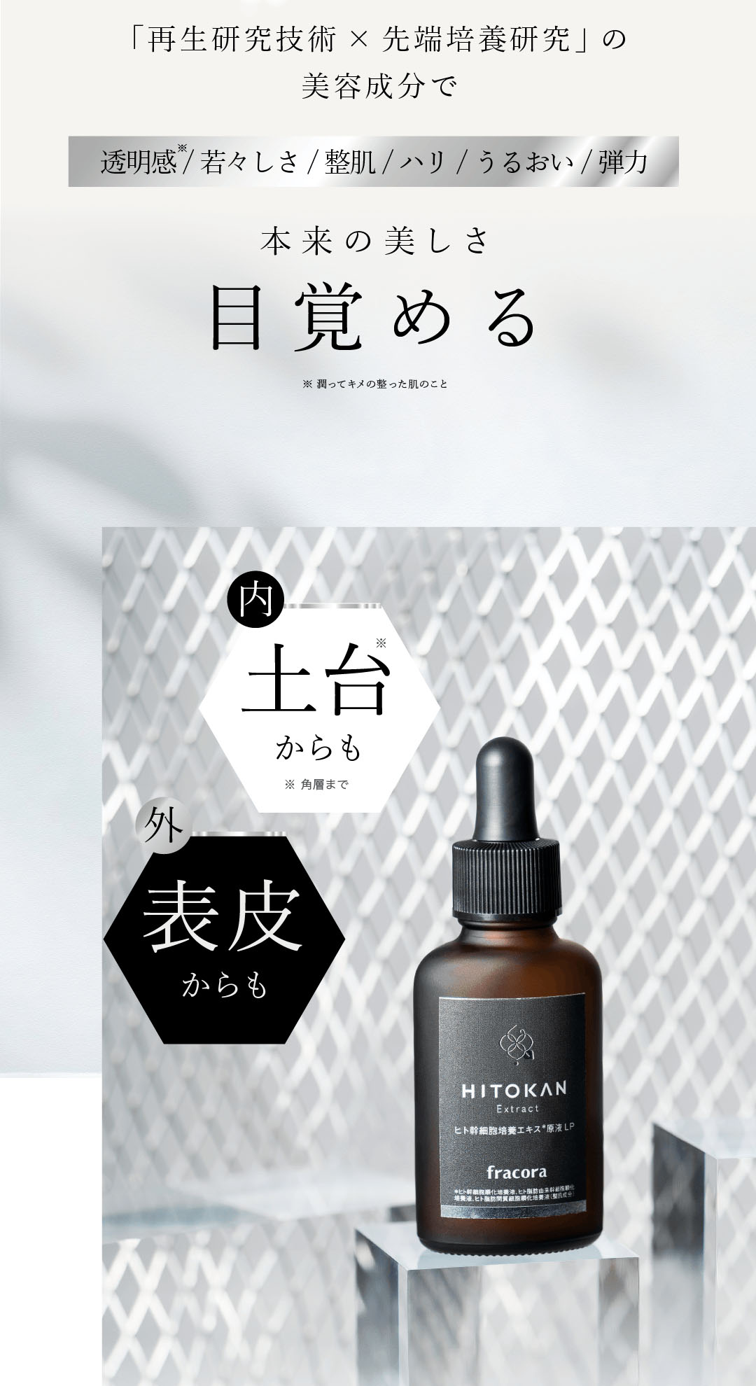 本来のチカラ目覚める