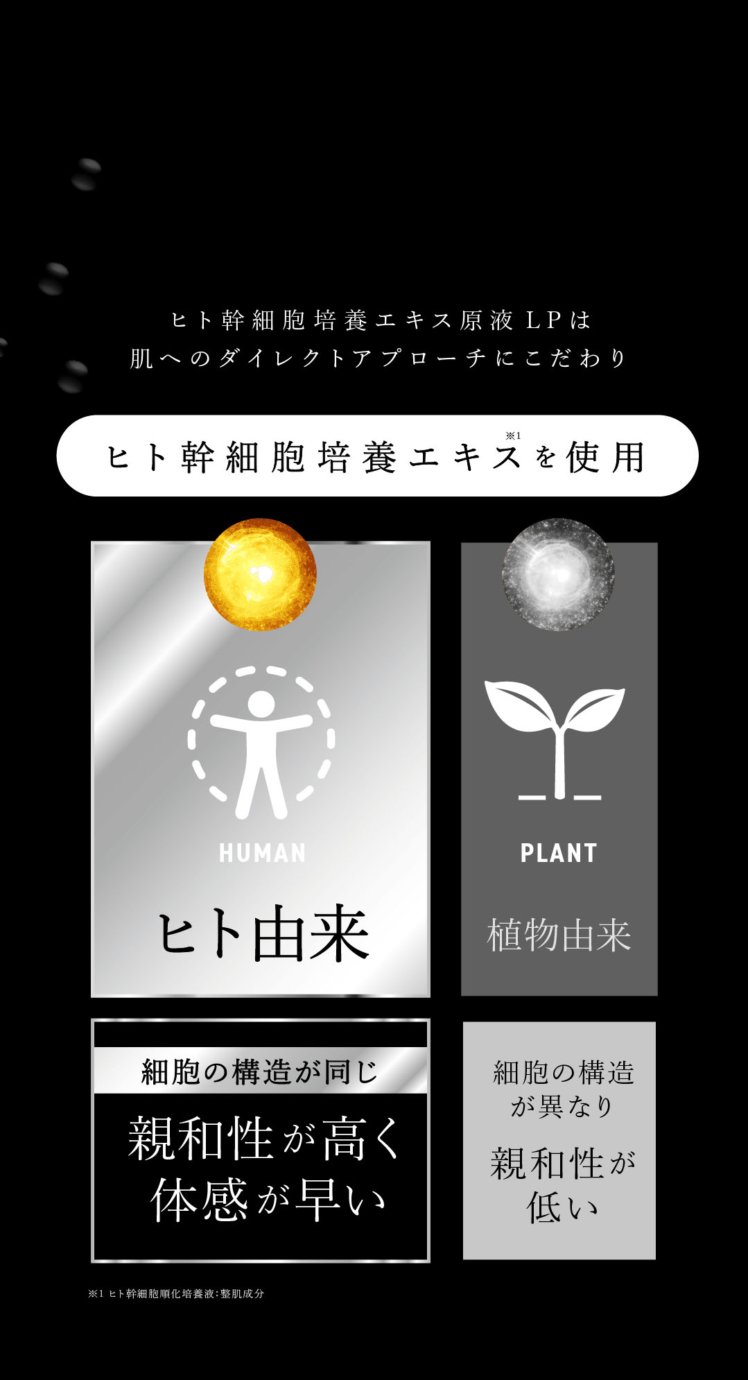 人にはヒトの細胞ケア