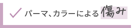 パーマ、カラーによる傷み