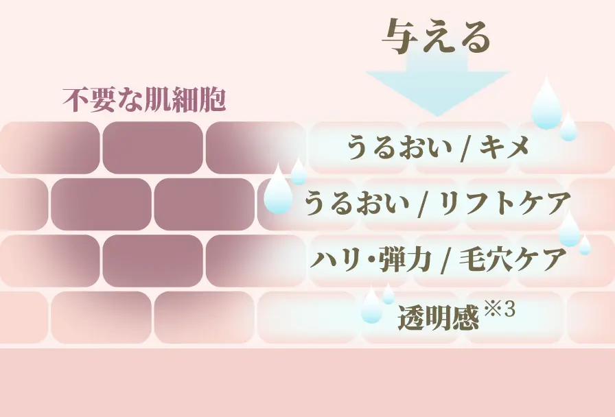 与える うるおい/キメ うるおい/リフトケア ハリ・弾力/毛穴ケア 透明感
